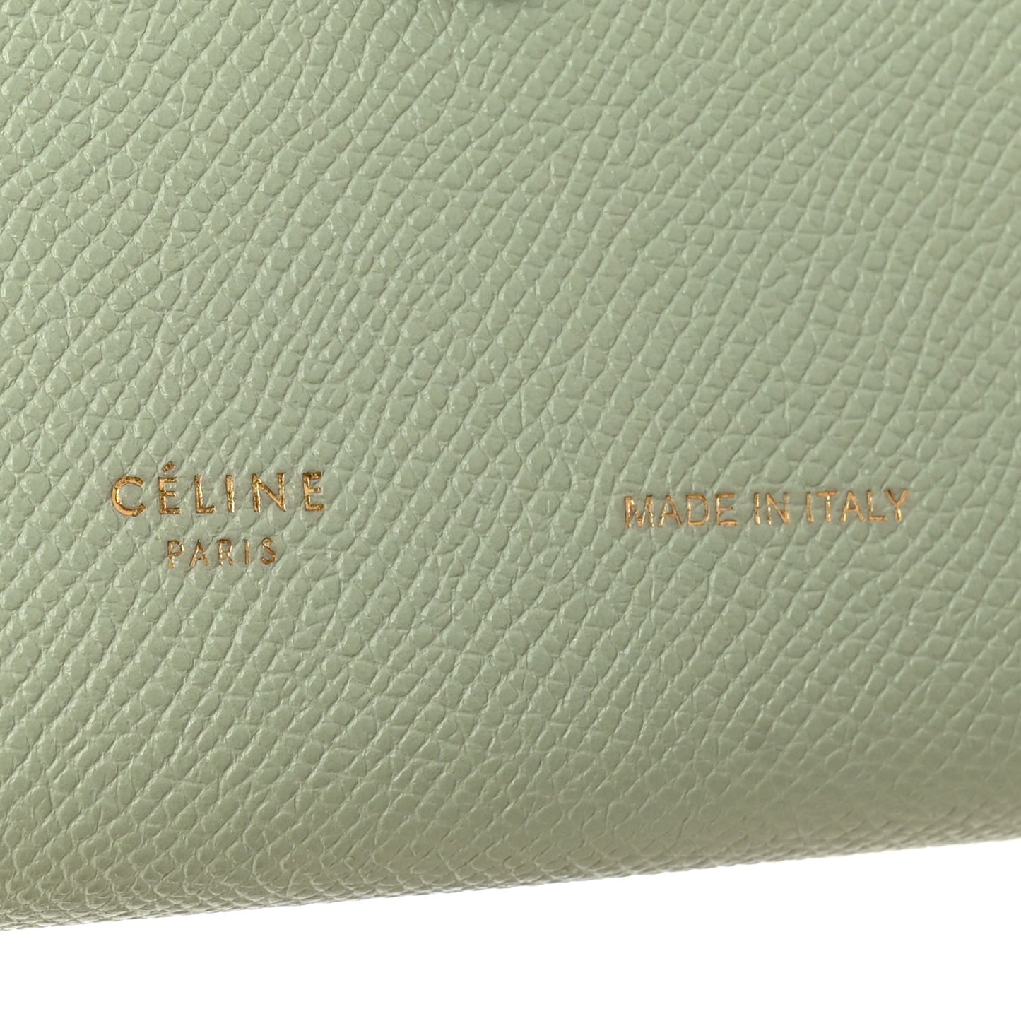 Grained Calfskin Large Multifunction Strap Wallet Pistachio