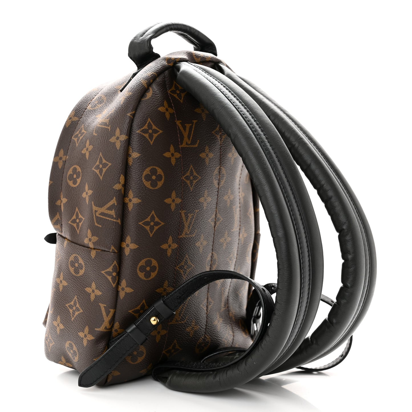 LOUIS VUITTON Monogram Palm Springs Backpack PM