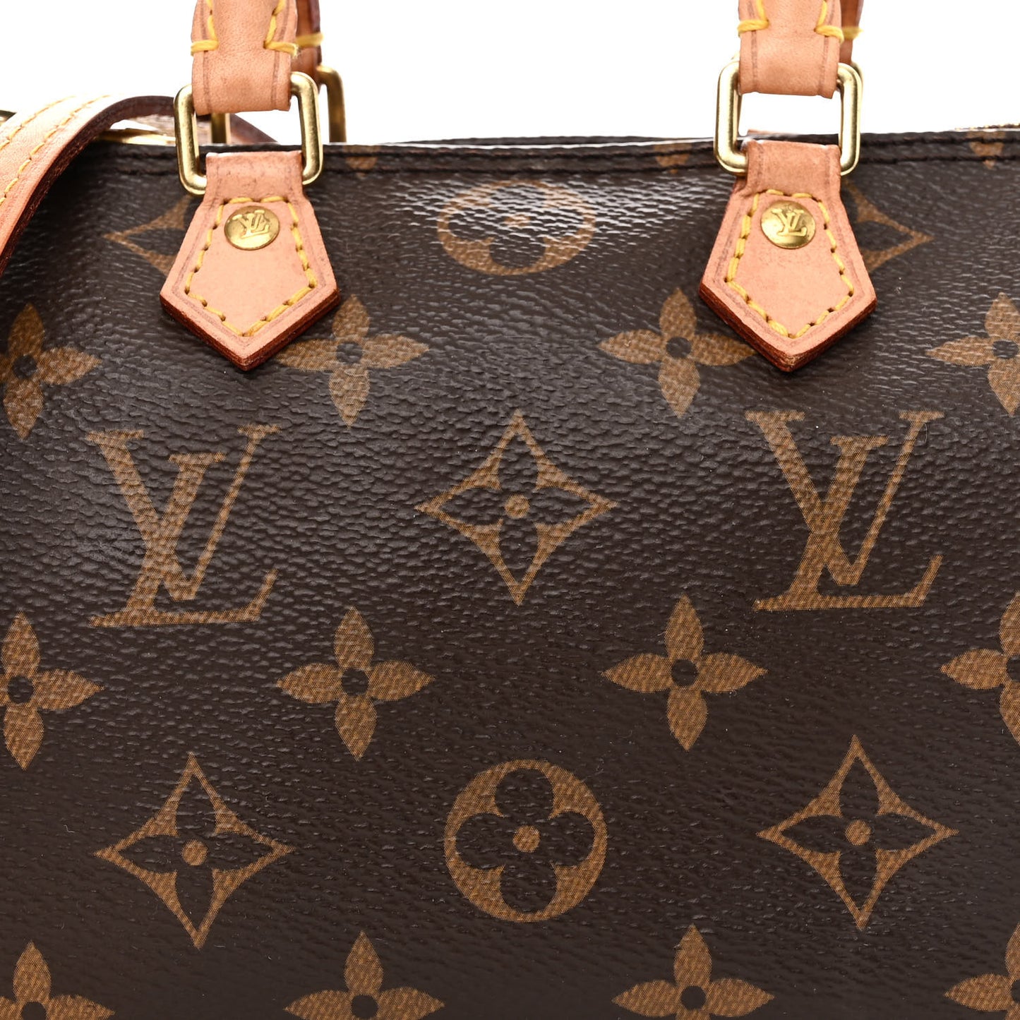 Monogram Nano Speedy