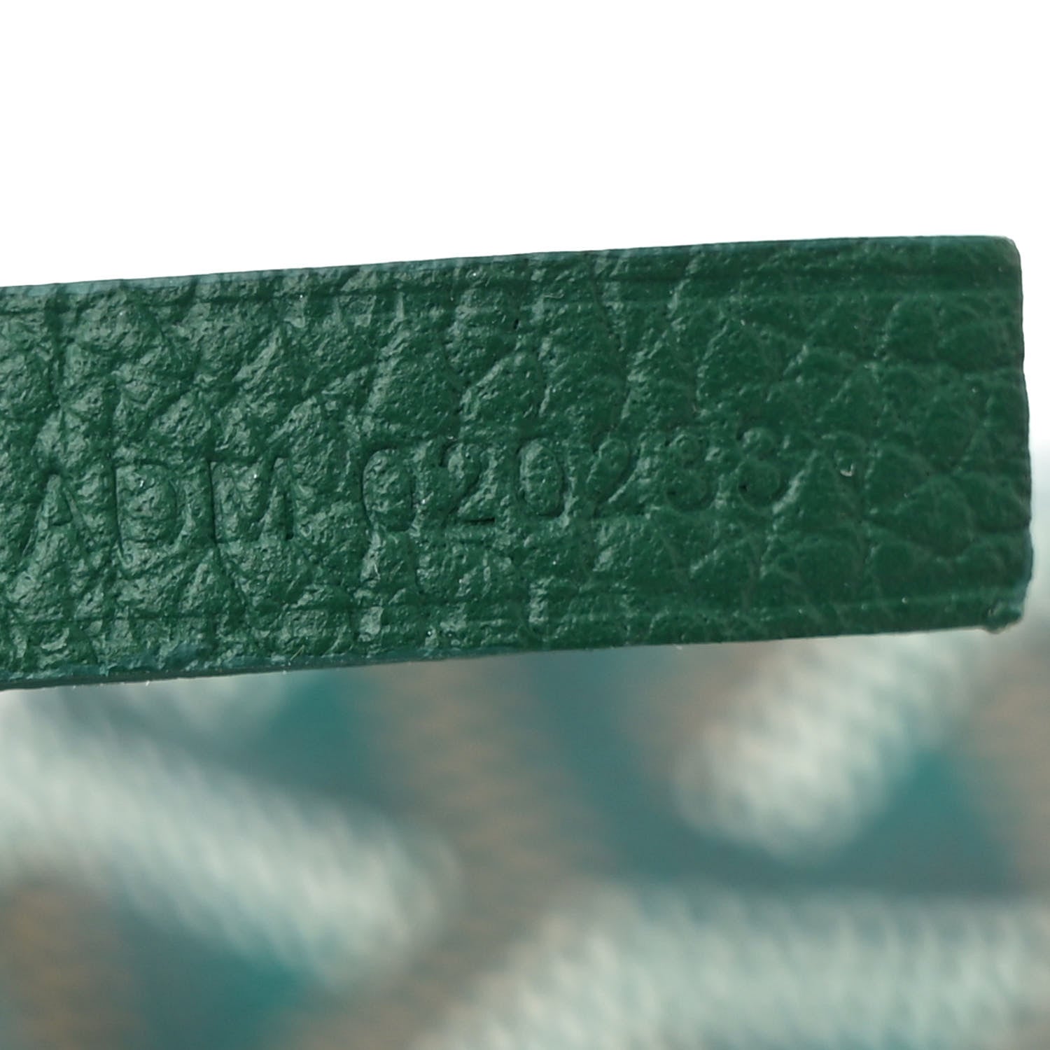 Goyard Goyardine Saint Louis PM Green 9 of 12