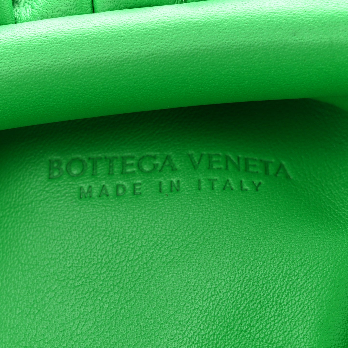 Butter Calfskin The Mini Pouch Parakeet