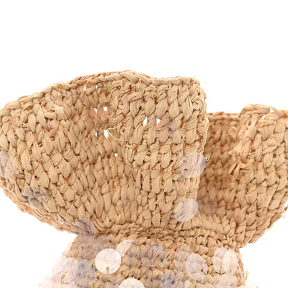 Loewe Raffia Canvas Sequin Paula's Ibiza Fish Pouch Natural Ivory 11 of 13