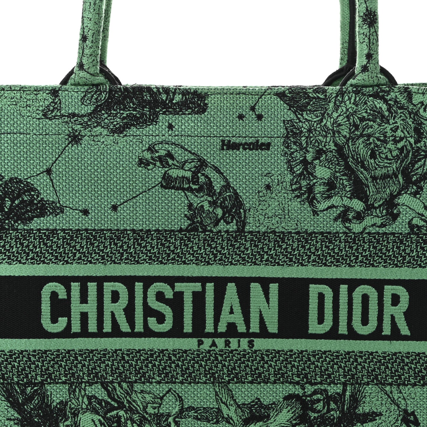 Canvas Embroidered Medium Zodiac Toile De Jouy Book Tote Green