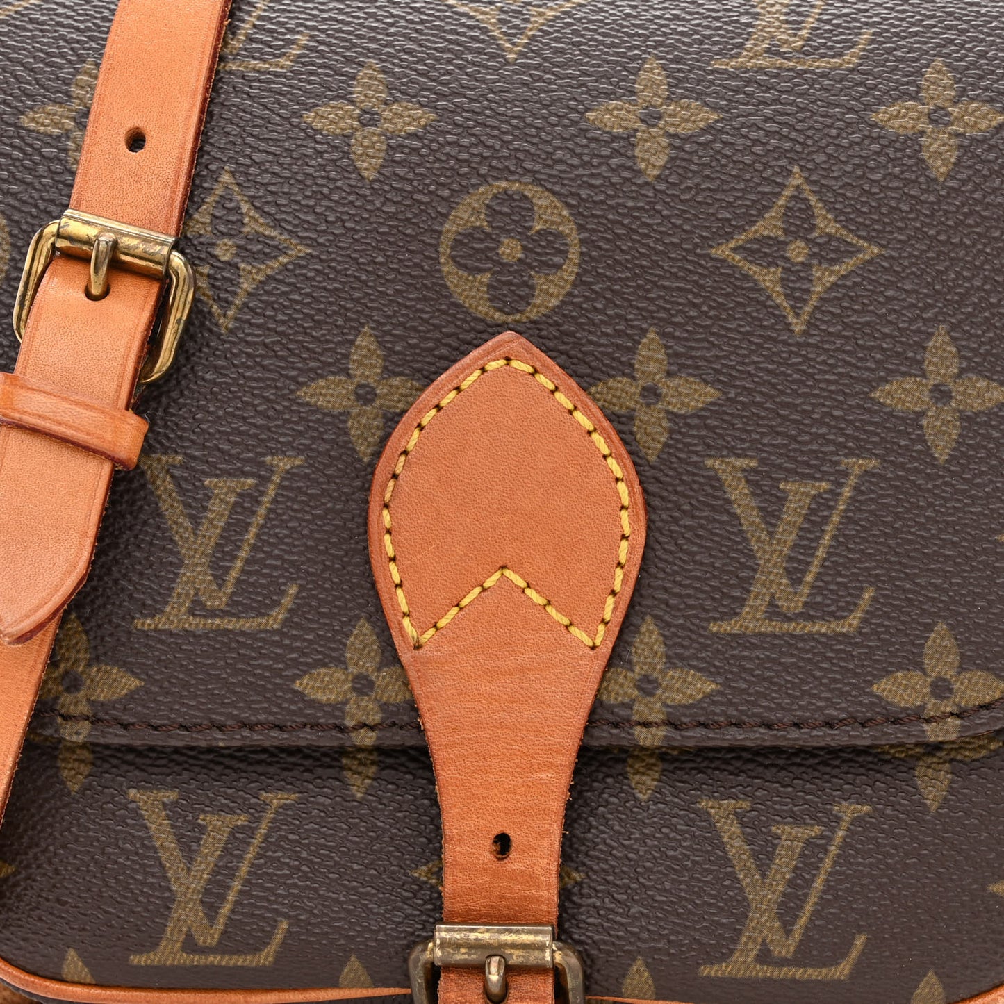 Monogram Cartouchiere 17