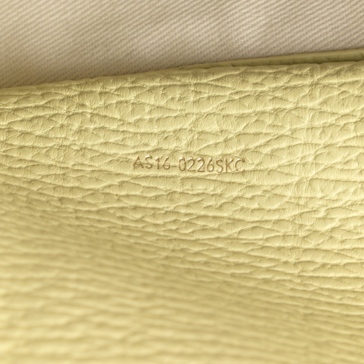 Textured Calfskin Mini Pashli Satchel Citron