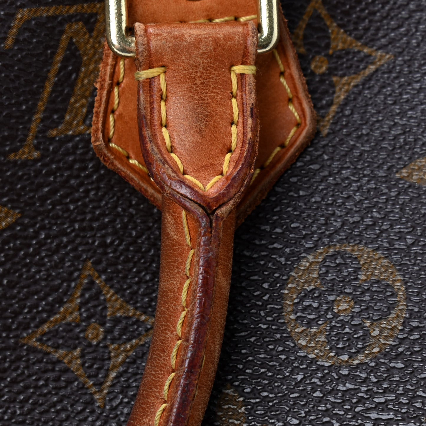 Monogram Speedy 35