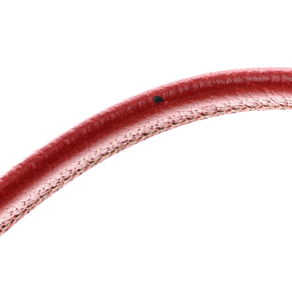 Gucci Monogram Small Princy Satchel Red 10 of 10