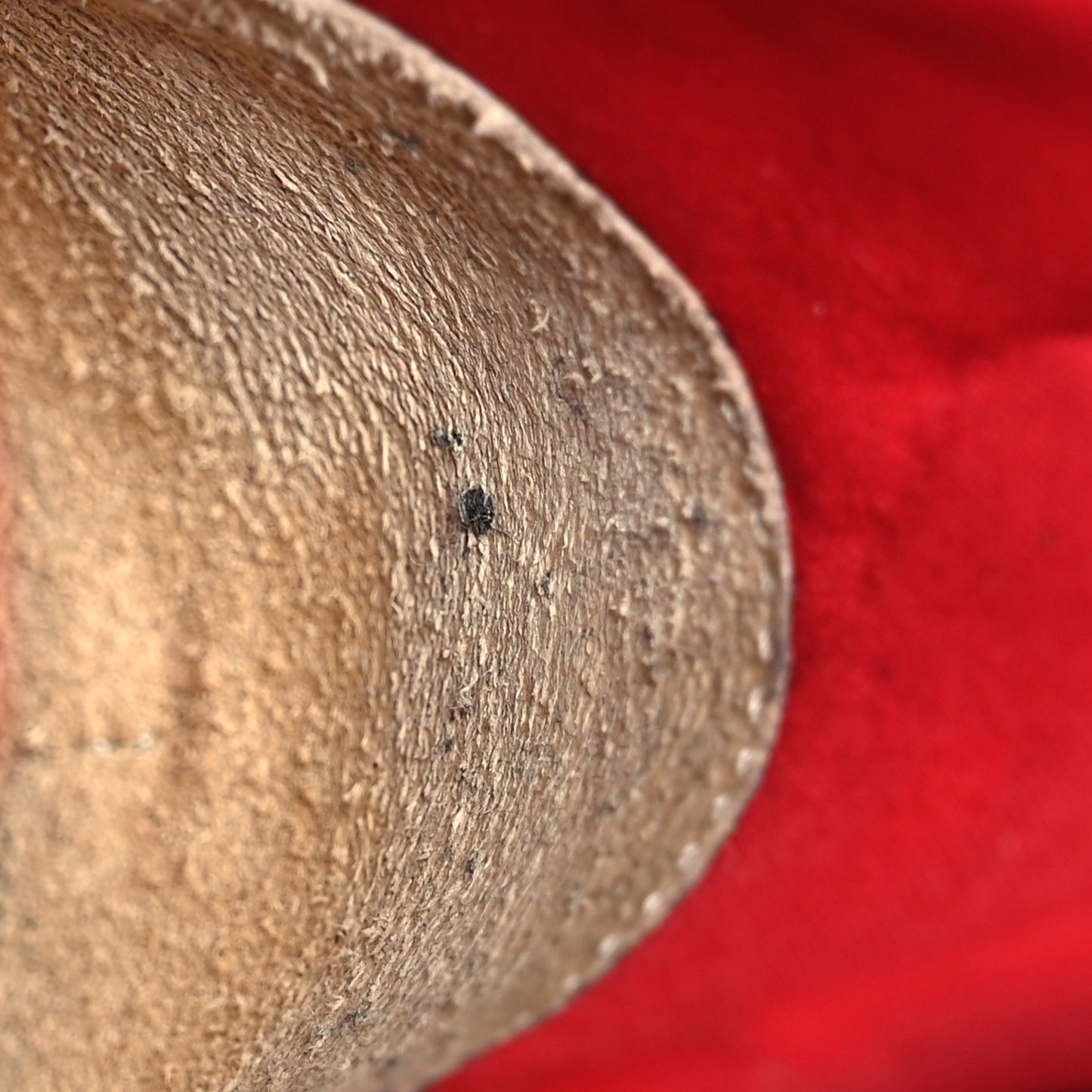 Neoprene Spike Sock Donna Flat Sneakers 39.5 Black