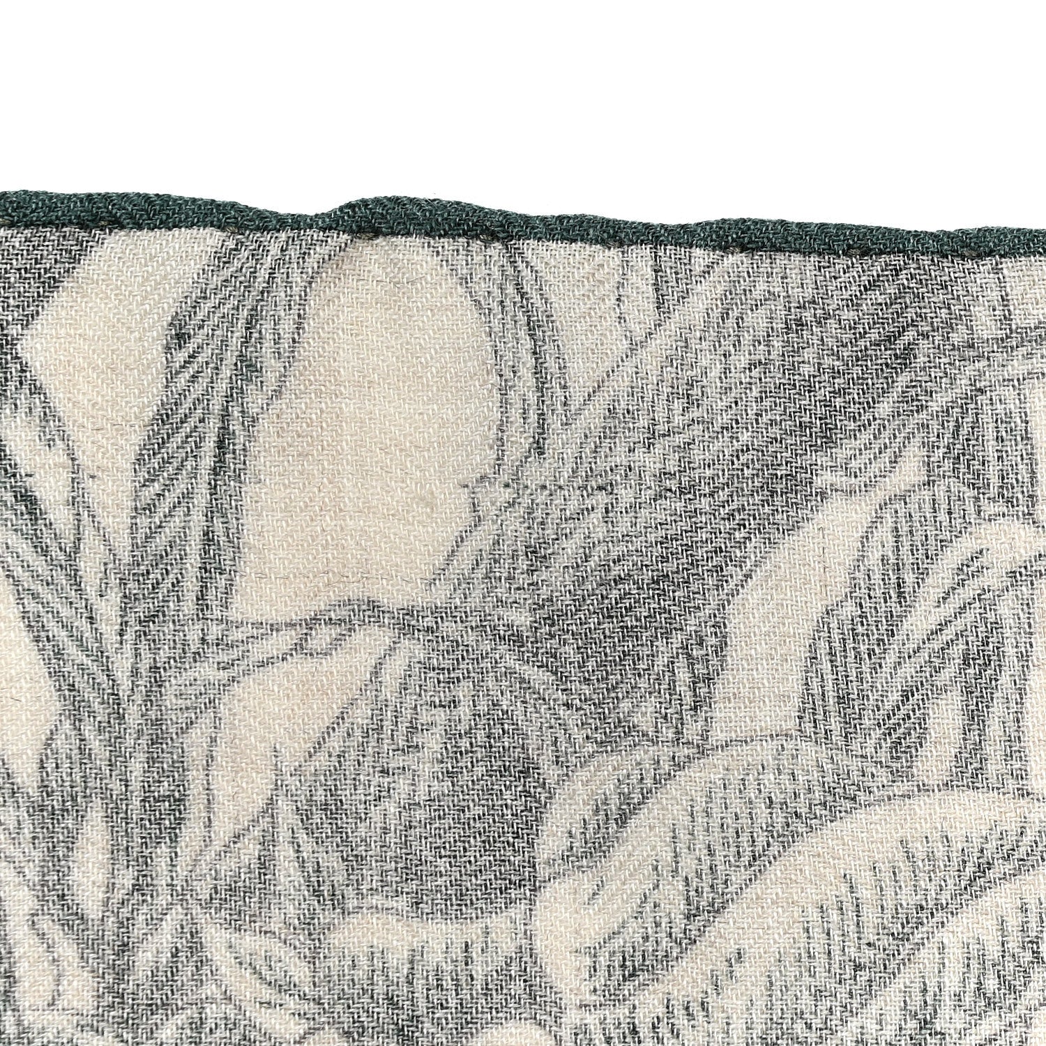 Hermes Cashmere Silk All 'Orto Botanico Di Palermo Shawl 140 Vert