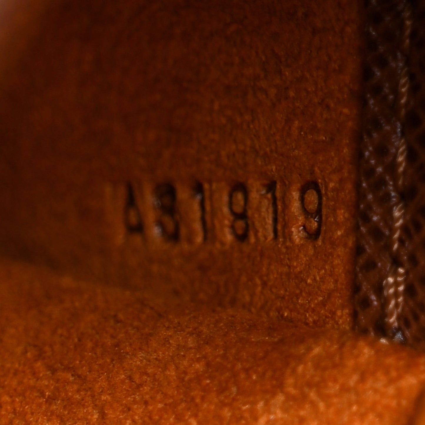 Monogram Musette Salsa