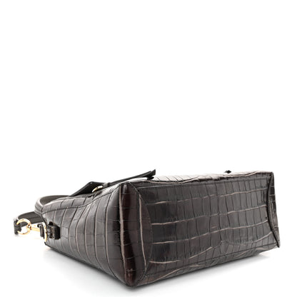 Chloe Calfskin Crocodile Embossed Small Faye Day Shoulder Bag Profound Brown 4 of 10