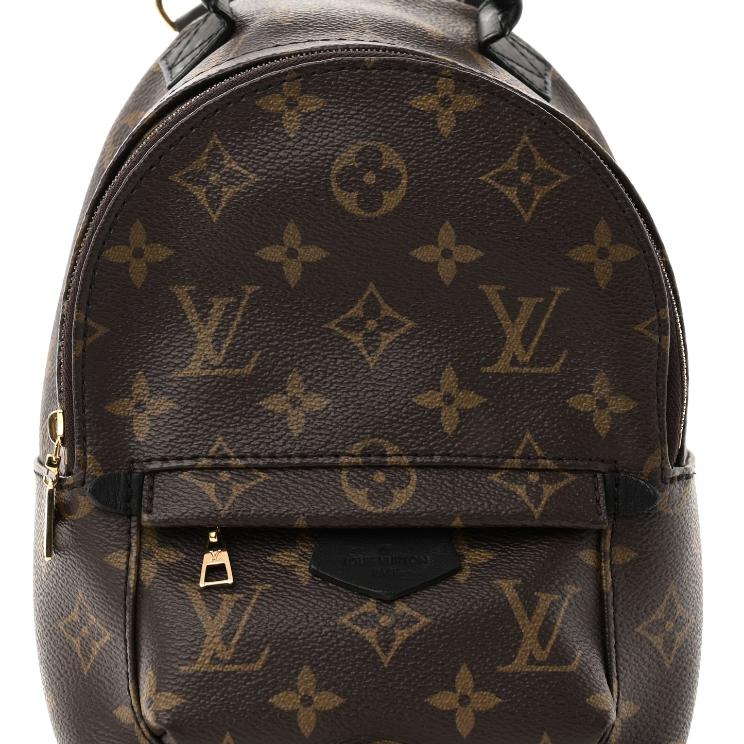 Monogram Palm Springs Backpack Mini