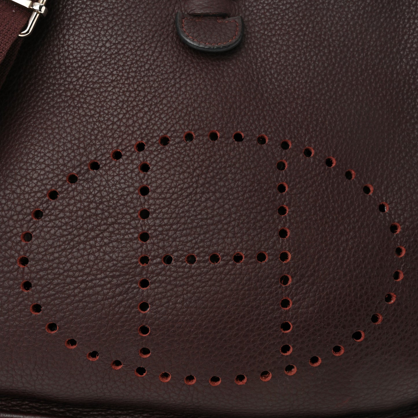 Taurillon Clemence Evelyne III PM Havane