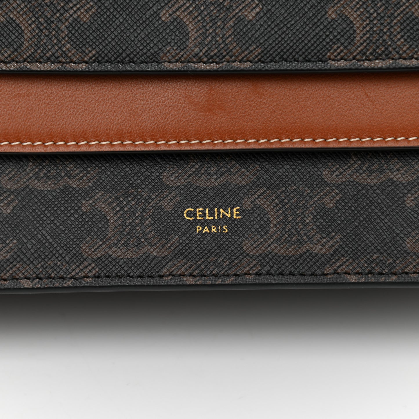 Triomphe Canvas Lambskin Wallet On Strap Tan