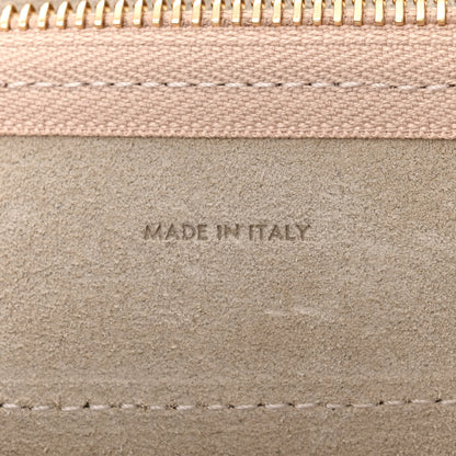 Celine Grained Calfskin Nano Belt Bag Pampa 7 of 10