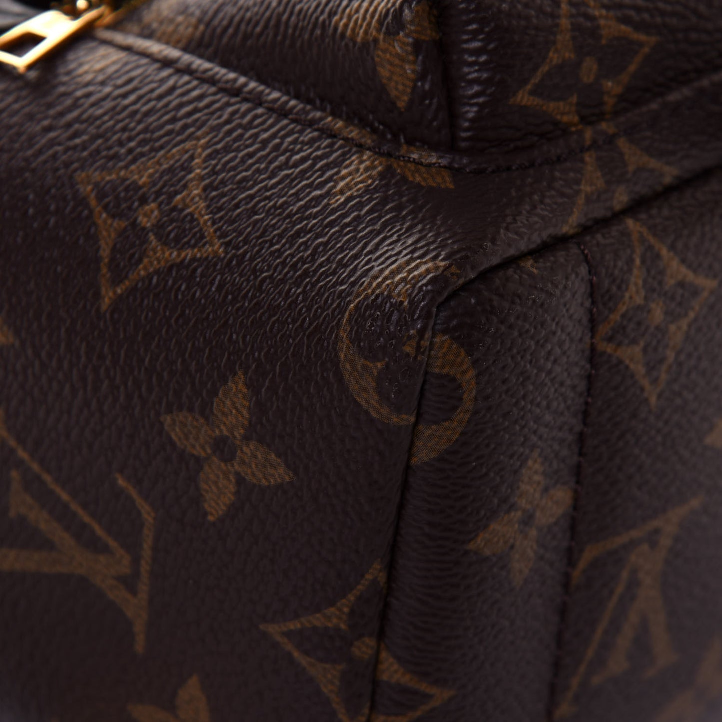 Monogram Palm Springs Backpack Mini