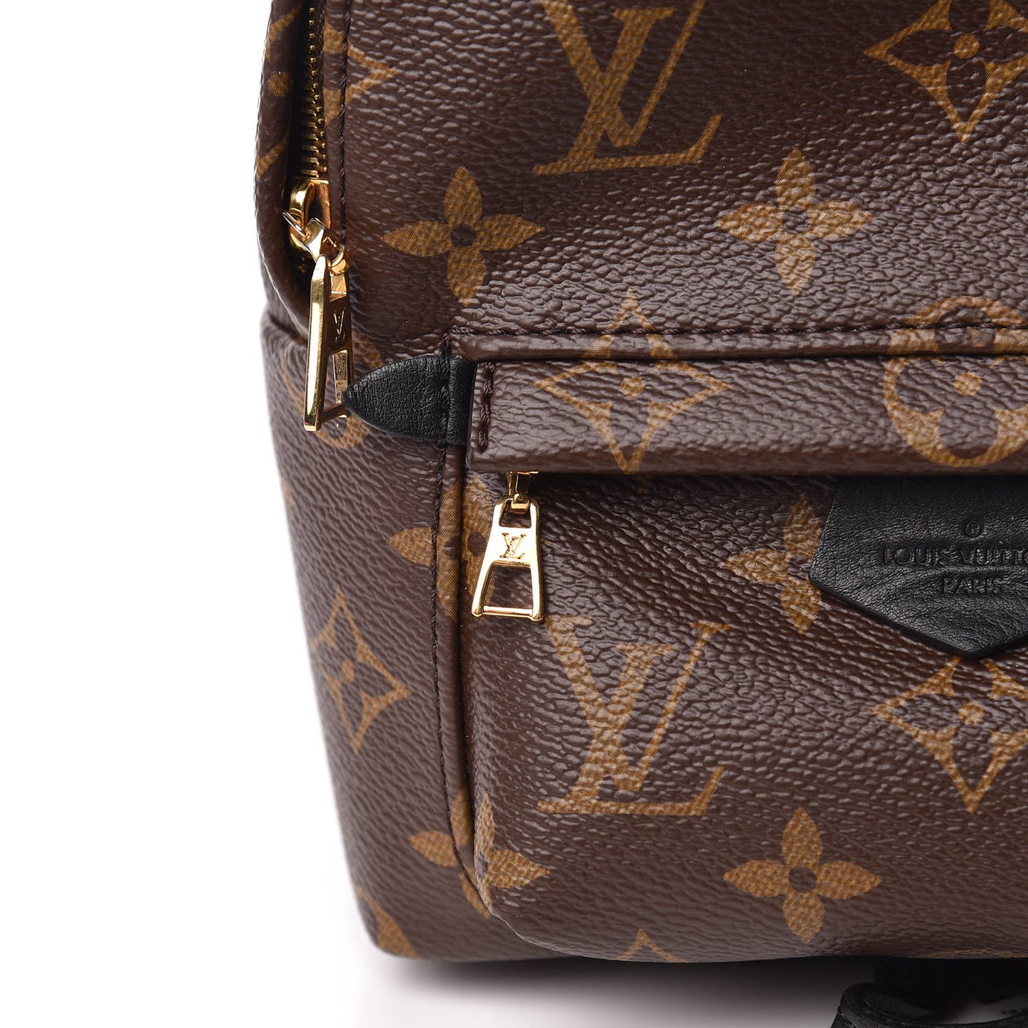 Monogram Palm Springs Backpack Mini