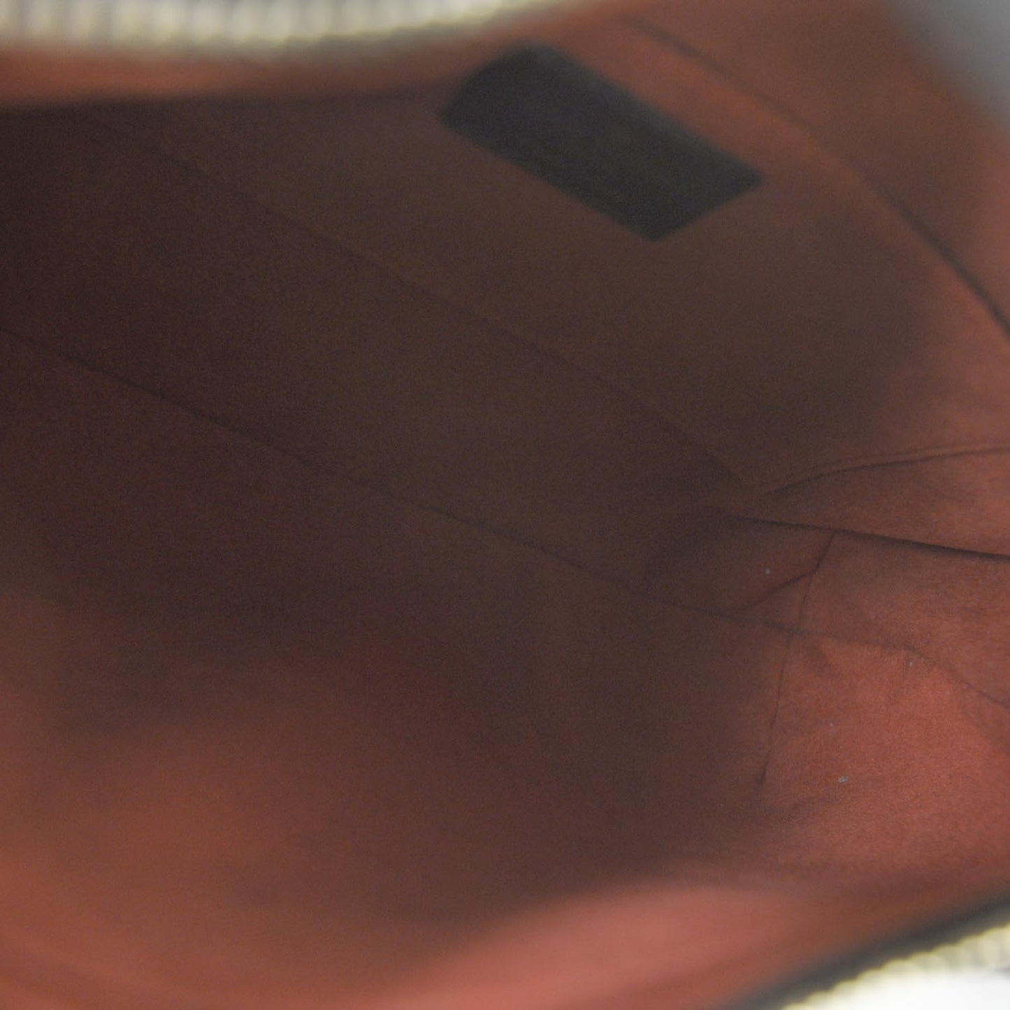 Damier Sauvage Tigre