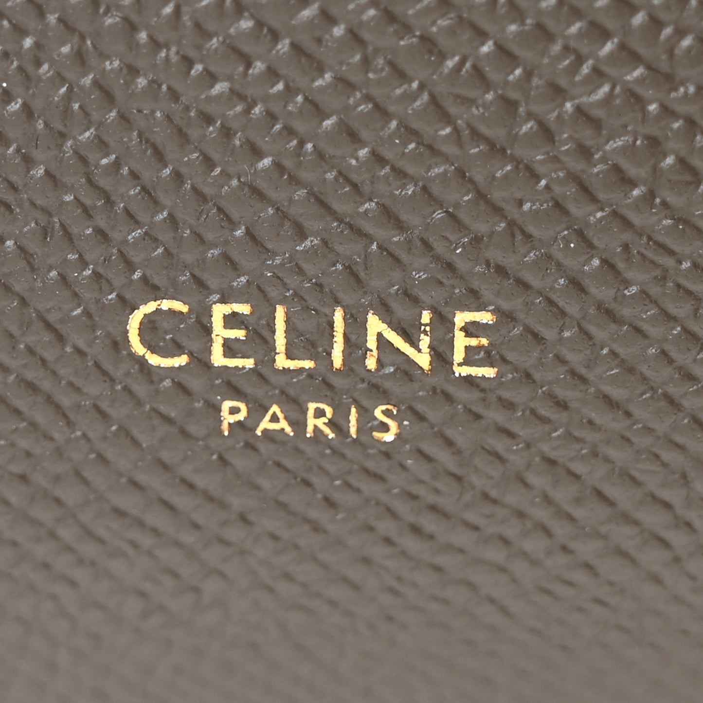 Grained Calfskin Nano Belt Bag Grey