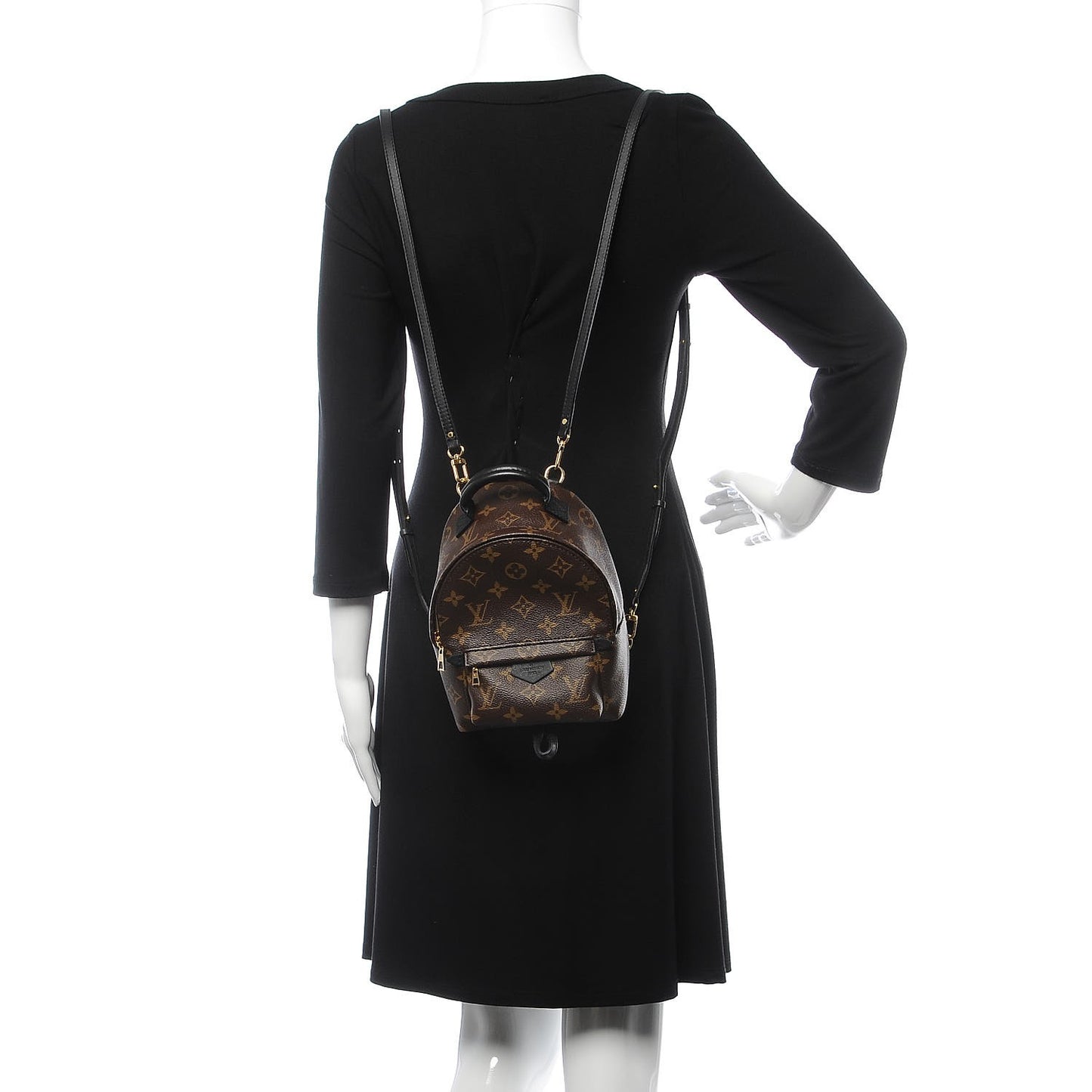 Monogram Palm Springs Backpack Mini