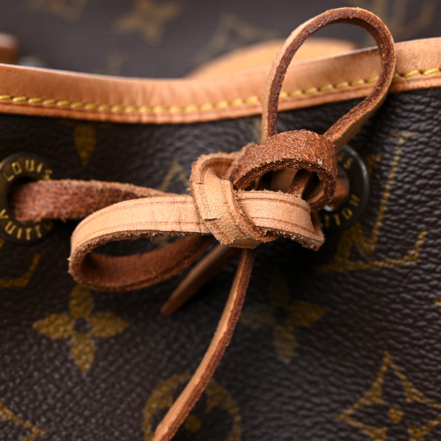 Monogram Montsouris MM Backpack