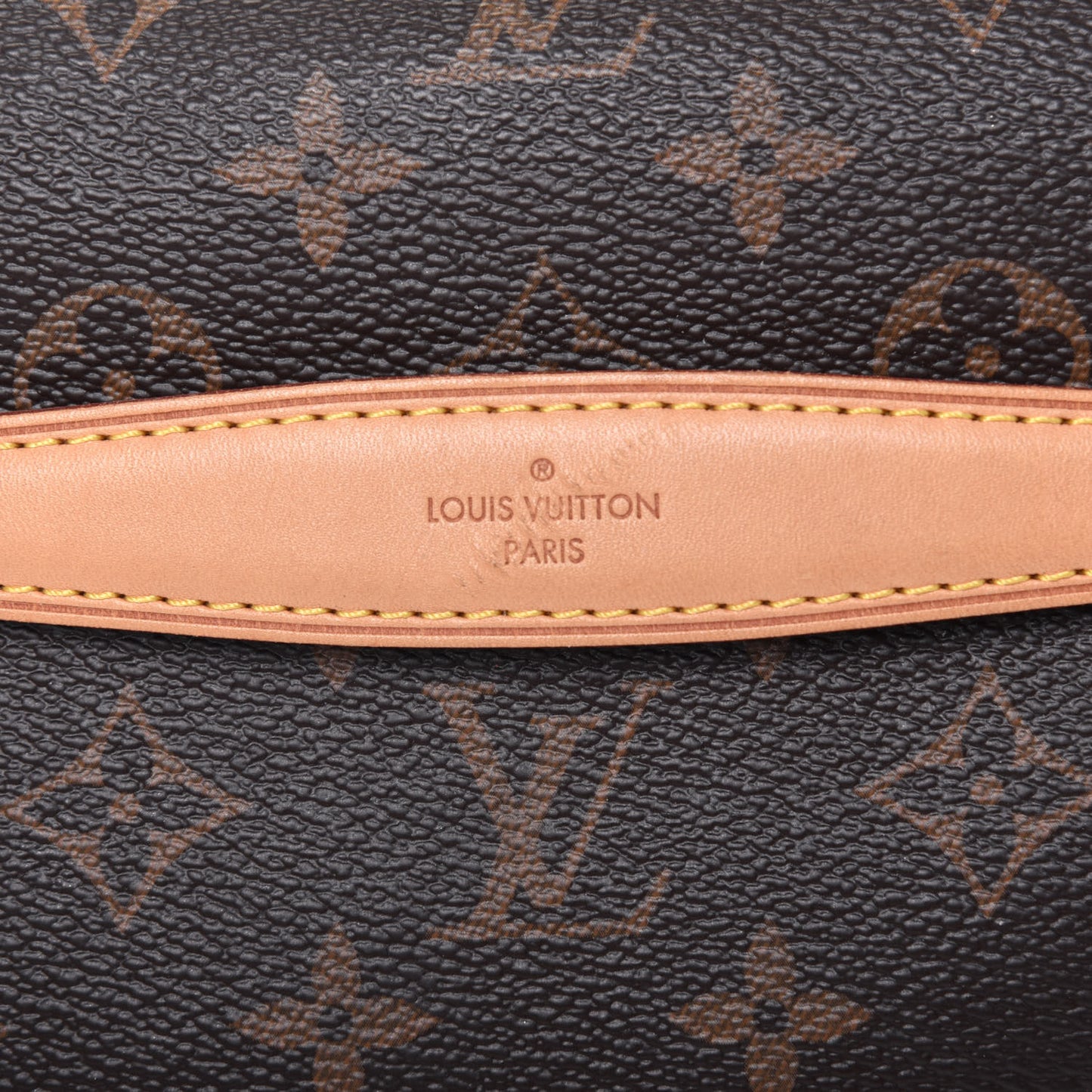 Monogram Bumbag