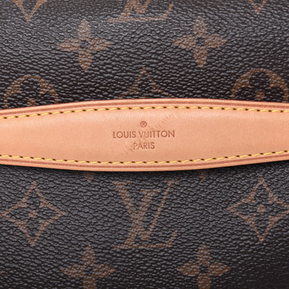 Louis Vuitton Monogram Bumbag 15 of 16