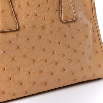 Prada Ostrich Pyramid Bag Soleil 15 of 18
