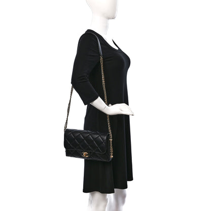 Chanel Lambskin Quilted Crush on Chains Flap Bag Black 2 of 9