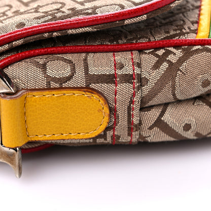 Christian Dior Monogram Rasta Saddle Bag Beige 11 of 13