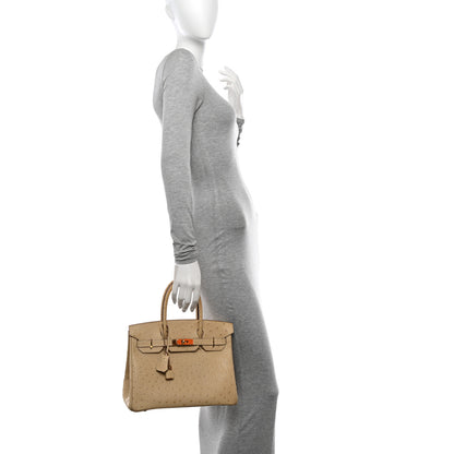 Hermes Ostrich Birkin 30 Parchemin 2 of 11