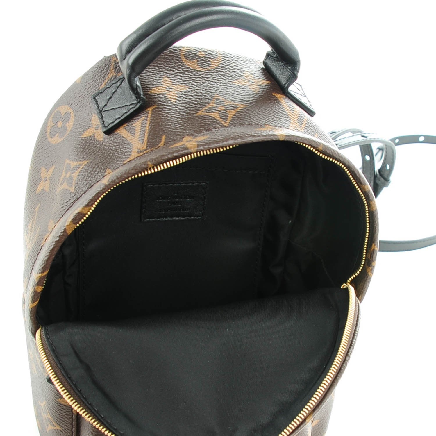 Louis Vuitton Monogram Palm Springs Backpack Mini 5 of 7