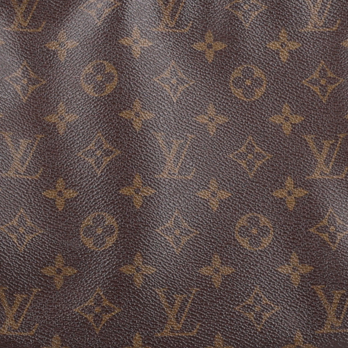 Monogram Looping MM