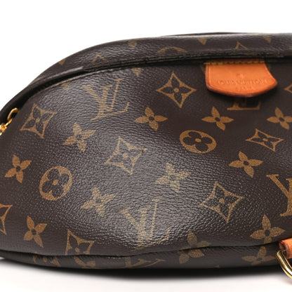 Louis Vuitton Monogram Bumbag 8 of 13