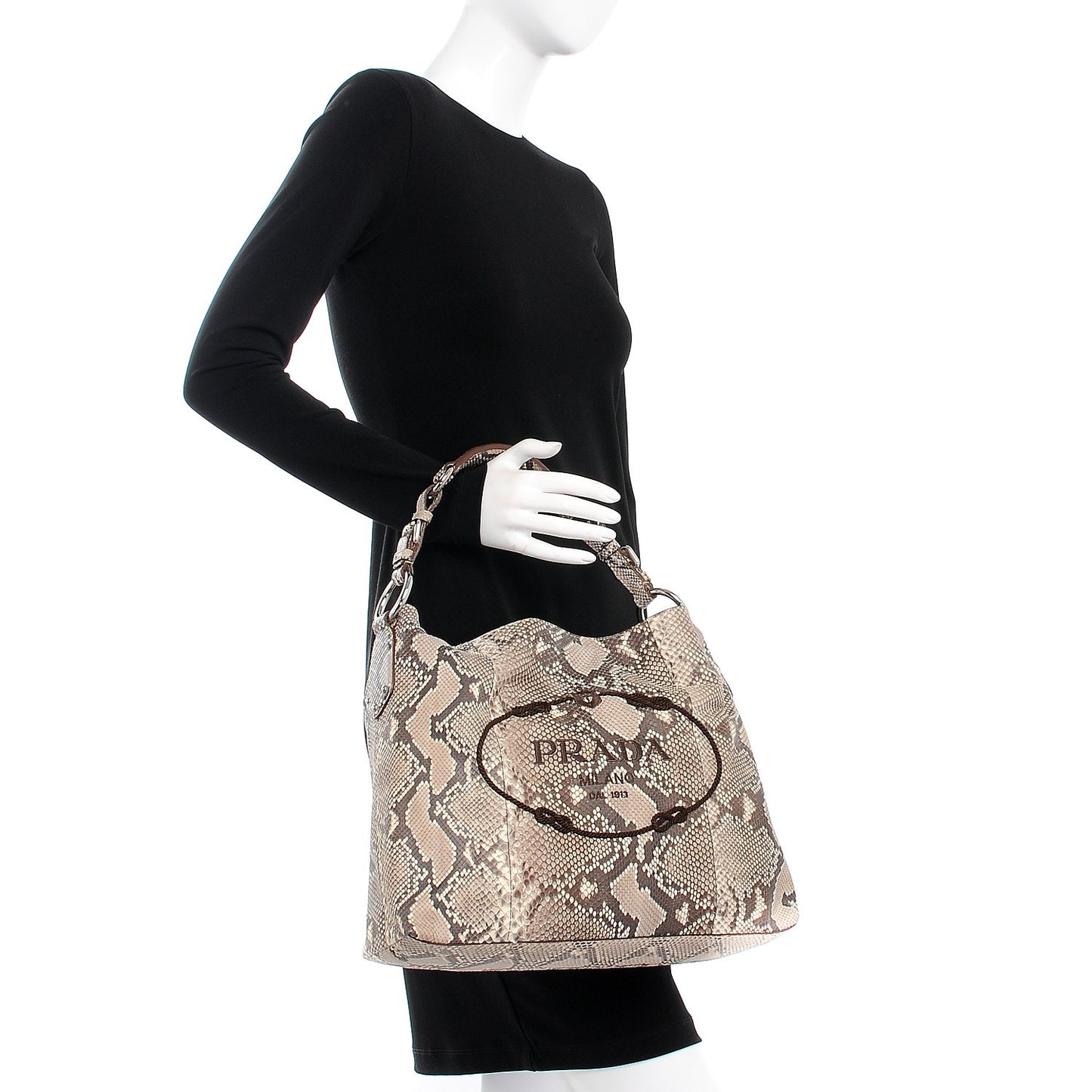 Python Logo Hobo Roccia