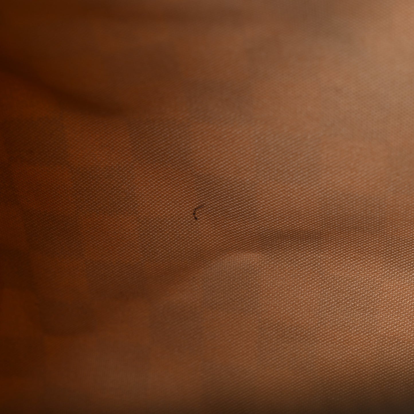 Damier Azur Speedy 30