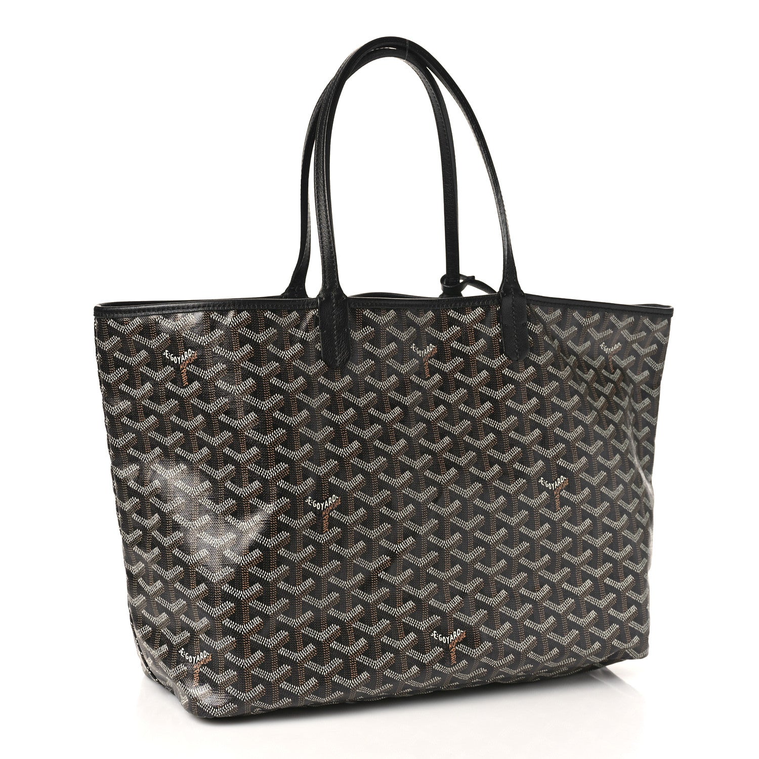Goyard Goyardine Saint Louis PM Black 4 of 8