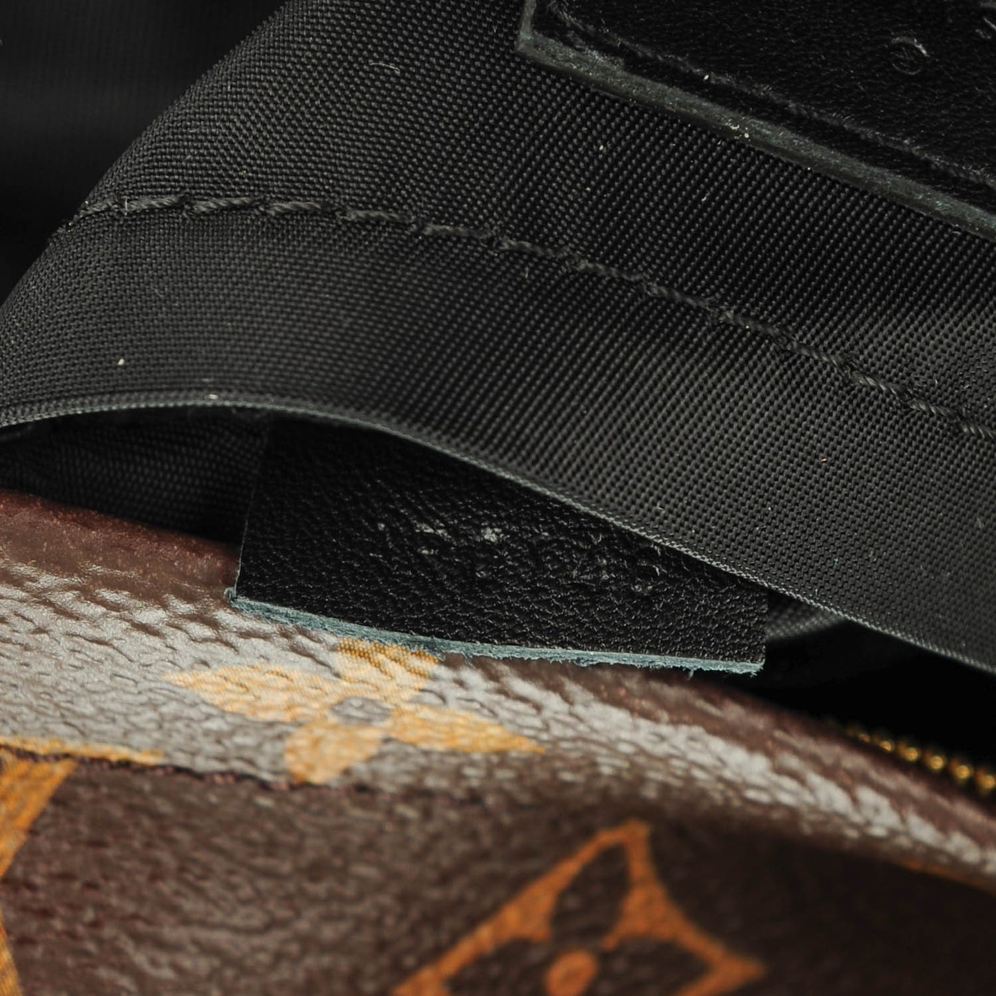 Monogram Palm Springs Backpack Mini