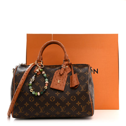 Louis Vuitton Monogram Speedy Soft 30 Boho 10 of 10