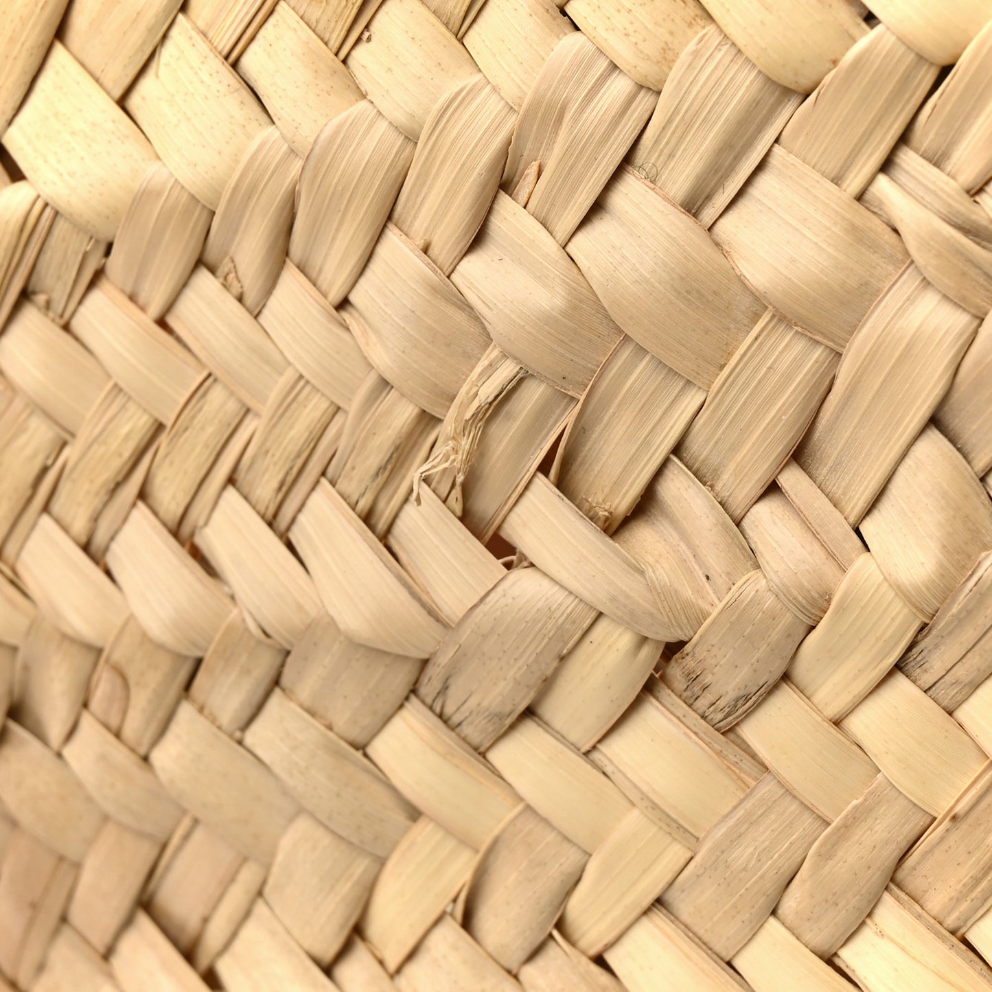Raffia Basket Tote Bag Natural Tan