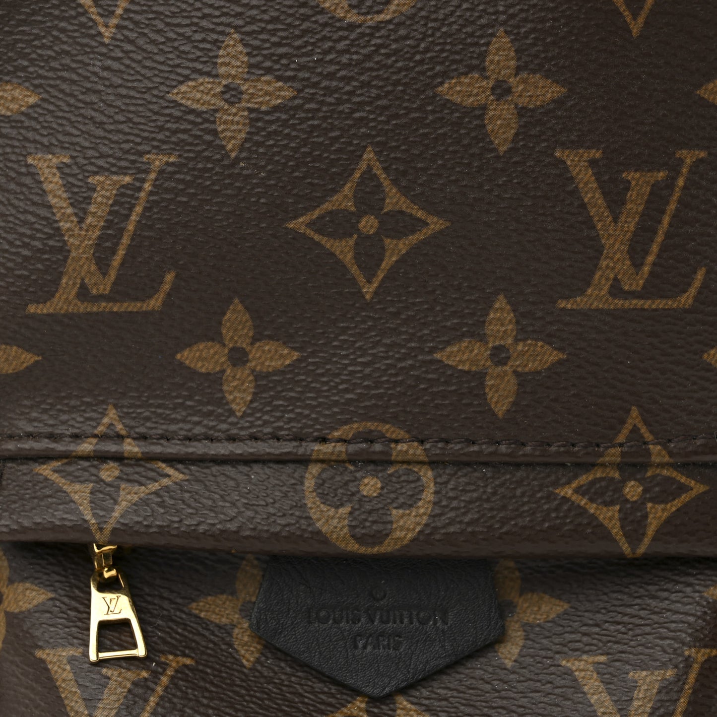 Monogram Palm Springs Backpack Mini