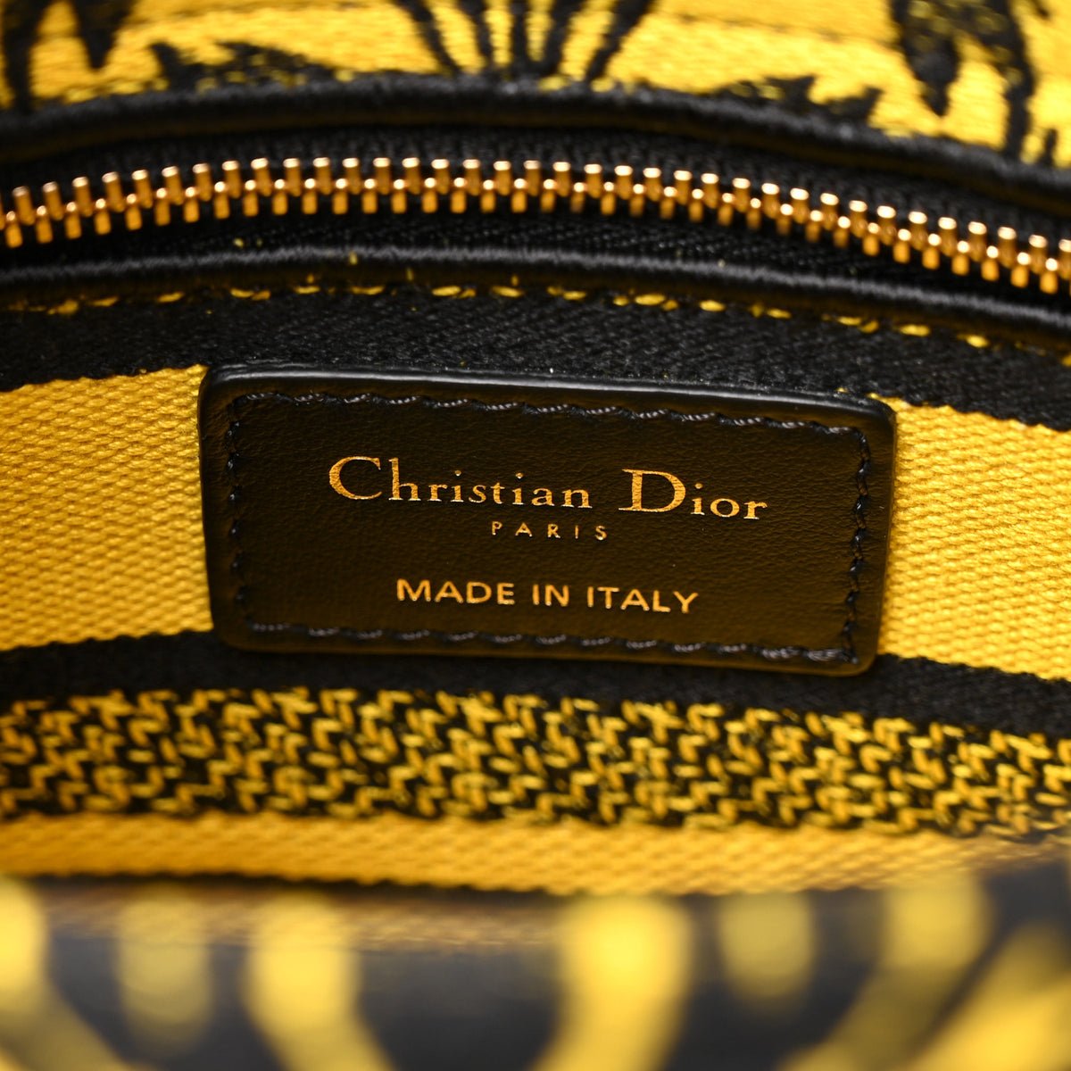 Canvas Petites Fleurs Embroidered Mini Lady D-Lite Black Yellow