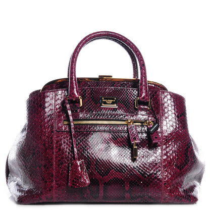 Dolce & Gabbana Python Doctor Bag Bordeaux 1 of 7