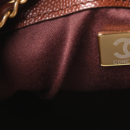 Chanel Caviar Quilted Small Chanel 25 Handbag Brown 7 of 11