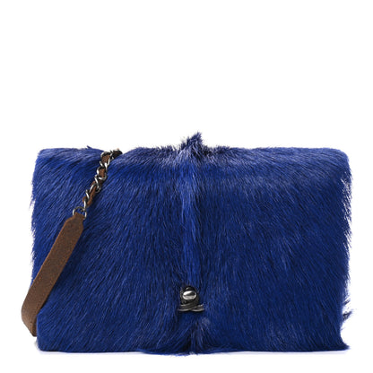 Chanel Goat Hair Wallet On Chain WOC Blue 1 of 4