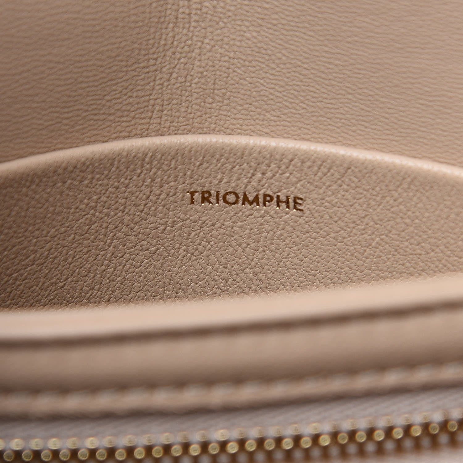 Celine Shiny Calfskin Large Triomphe Nude 5 of 10