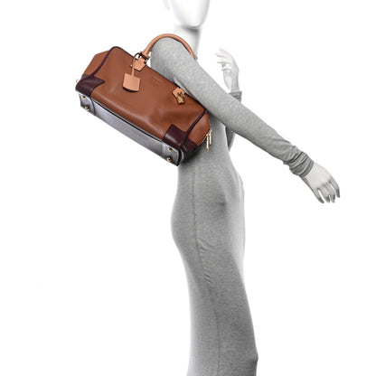 Loewe Calfskin Amazona 36 Brown Oxblood 2 of 11