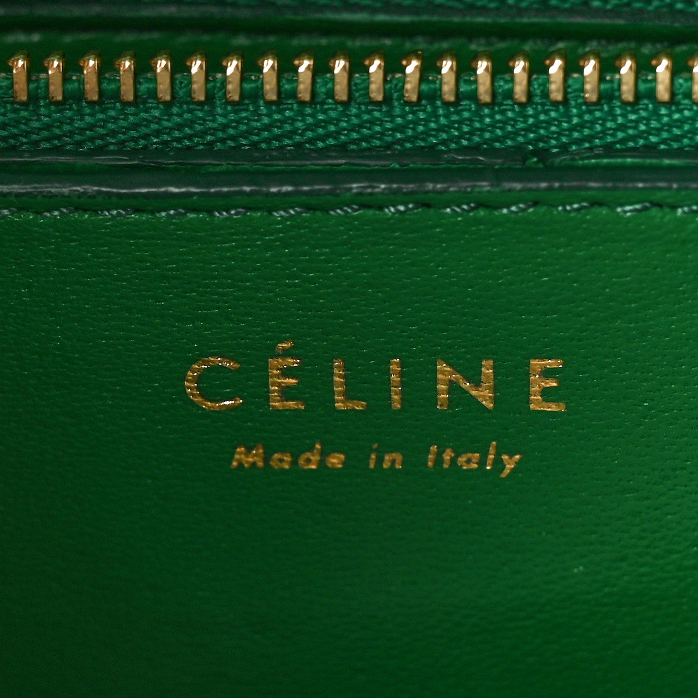 Celine Snakeskin Medium Classic Box Green 5 of 9