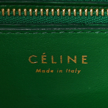 Celine Snakeskin Medium Classic Box Green 5 of 9
