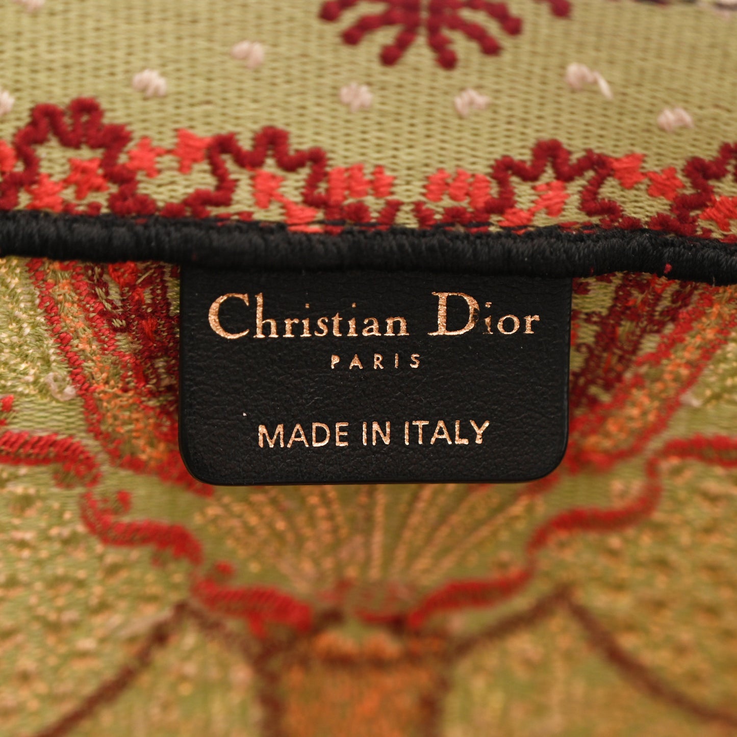 DIOR Canvas Embroidered Large In Lights Book Tote Multicolor